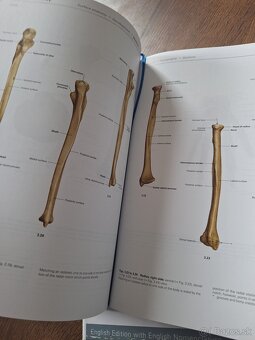 Sobotta Anatomický Atlas - 7