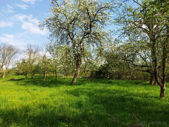 Rodinný dom v Nižnom Hrušove - 7