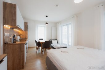 Kompletne zariadený apartmán s výhľadom a parkovaním v proje - 7