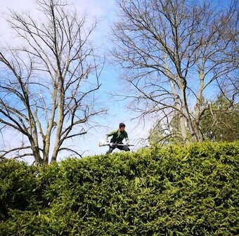 Starostlivosť o zeleň,výrub stromov, pilčícke práce, kosenie - 7