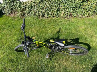 Dema Rockie 26” - 7