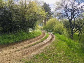 Romantický 900m2 pozemok v Prešove aj s prístupovou cestou ( - 7