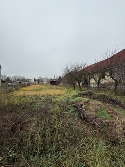 Ponúkam na predaj vyčistený, udržiavaný pozemok v Komárom-Ko - 7