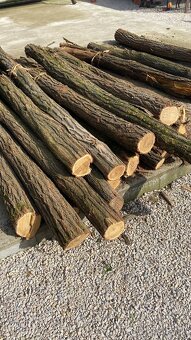 Tvrdé a mäkké suché palivové drevo - 7