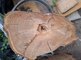 ČEREŠNOVÉ DREVO,NAREZANE NA PLATY KUS/30 EUR - 7