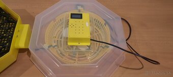 Automatická Liaheň na vajcia CLEO 5 DTH AUTOMATIC - 7