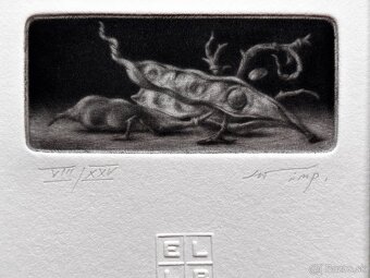 Konstantin Chmutin - 7