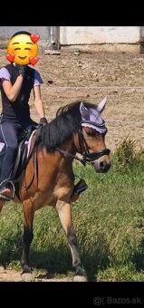Sportovy pony - 7