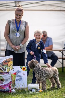 Lagotto Romagnolo s PP - 7