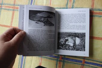 Když jde štěně do světa - 7