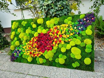 Machový obraz dúha - 7