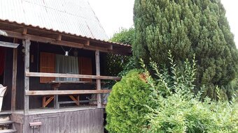 predám chatku s vinohradom Bojná - 7
