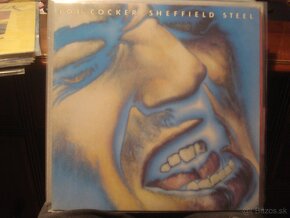 LP BOWIE COCKER B.HOLLY FOREIGNER ELO BYRDS E.JOHN MADONNA - 7