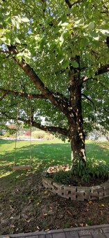 Výnimočná ponúka domu v ZM - 7