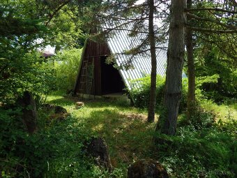 Záhrada nad Dubčekovou ulicou NMnV - 7