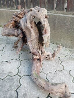 Predám koreň do akvária terária paludária, do skalky - 7