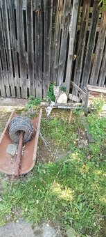 Mačiatka - 7