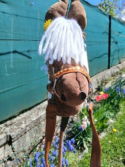 Hobby horse - 7