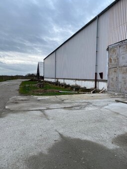 Skladová hala 3900 m2 v Trnave, výhodný nájom - 7