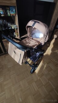 Coletto - 7