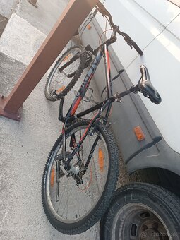 Alpina 19.5" - 7