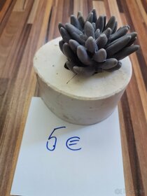 Silikónové formy na mydlo - rôzne druhy - 7