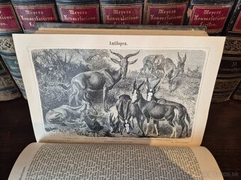 Meyers lexikon 1-19 1886 stare knihy - 7