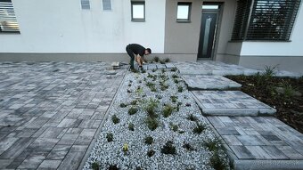 Záhrada zelená strecha rizikové rezanie stromov - 7