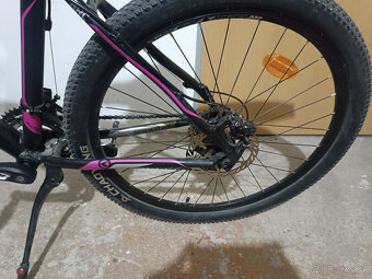 Kellys Spider 20 - 7