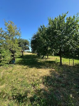 Veľkorysý pozemok 4543 m2 so starším RD - investícia - 7