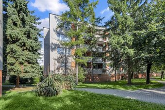 P R E N Á J O M 3 izbový byt Dunajská Lužná - 7