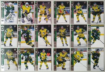Hokejové kartičky TIPOS EXTRALIGA 2024/2025 - VLCI ŽILINA - 7