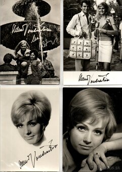 POHLADNICE VONDRACKOVA - NECKAR - 7