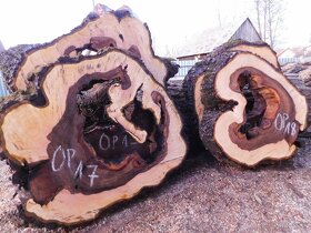 Koláče -  orechové drevo, fošne, rezivo - 7
