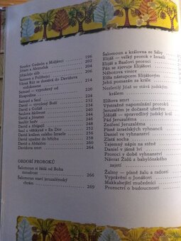 Biblie pre deti ilustrovana - 45 eur - 7