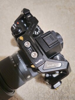 Fujifilm X-S10 + Sigma 18-50mm - 7