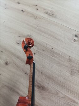 Viola39 - 7