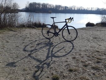 Canyon Endurace AL - 7