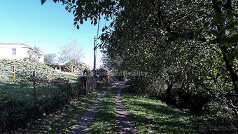 Stavebný, oplotený a slnečný pozemok s vinicou - obec Janík - 7