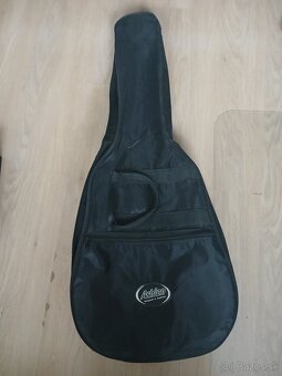 Gitara Ashton - 7