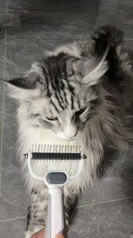 Kompletná sada na úpravu psa - 7