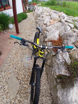 Yt Capra cf 2017 - 7