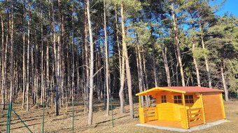ZÁHRADA BEZPROSTREDNE PRI LESE - KOŠICE - ŠACA,LUDVÍKOV DVOR - 7