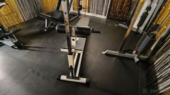 Technogym abdominal bench isotonic - 7