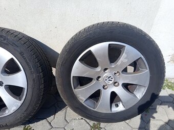 Barum Polaris 5 215/55/R16 - 7