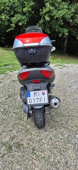 Skuter Malaguty - 7