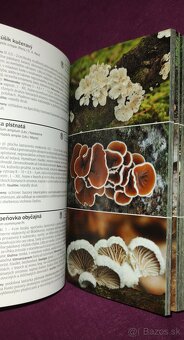 1000 slovenských a českých húb - 7