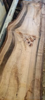 Predam Orechove Fosne (vysusene viac druhov ) - 7