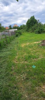 NA PREDAJ STARŠÍ RD SO ZÁHRADOU 1376 M2, Biskupice - 7