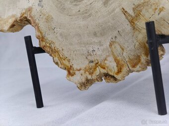 Výnimočný kus zkamenelého dreva – 23 mil rokov stará - 7
